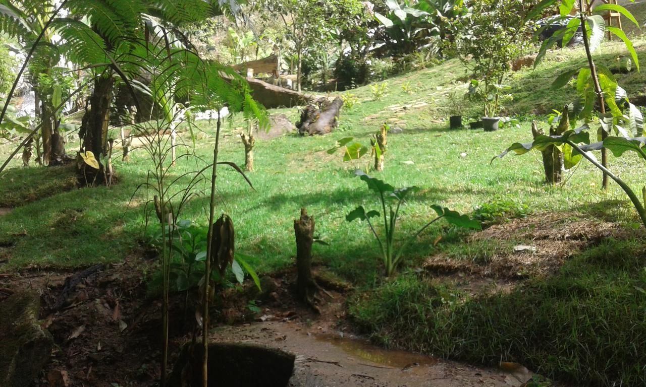 Pousada Aguas Da Mata Brejetuba Экстерьер фото